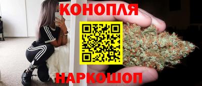 прущие крисы Изобильный