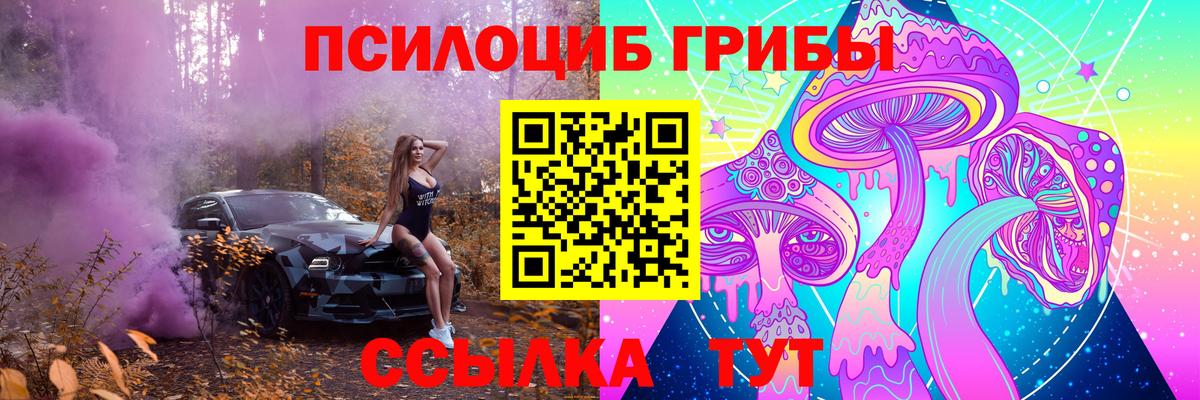 Дальнегорск  Галлюциногенные грибы GOLDEN TEACHER  Вход с VPN 